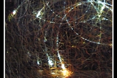 Experiment