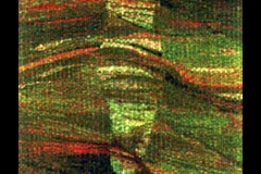 Untitled-1-copy1