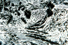 himzes-kiemelt