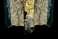 Via Crucis